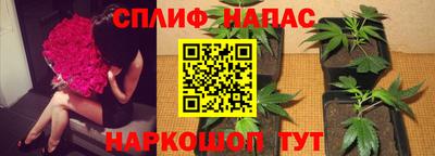дурь Пенза