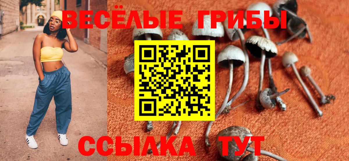 Галлюциногенные грибы MAGIC MUSHROOMS  Вход с VPN  Первоуральск  Галлюциногенные грибы Psilocybine cubensis 